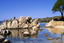 华体会皇马赞助商-卡利亚里连续四轮不胜，欧战梦碎