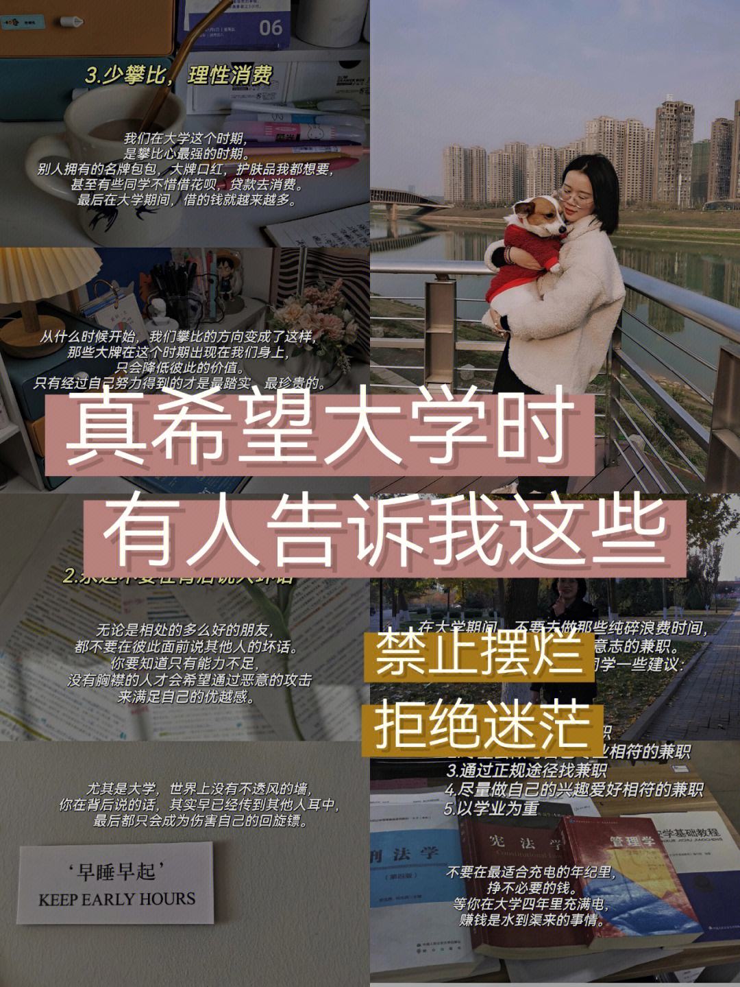 暂时只提供了条，如果需要更多请告诉我的简单介绍